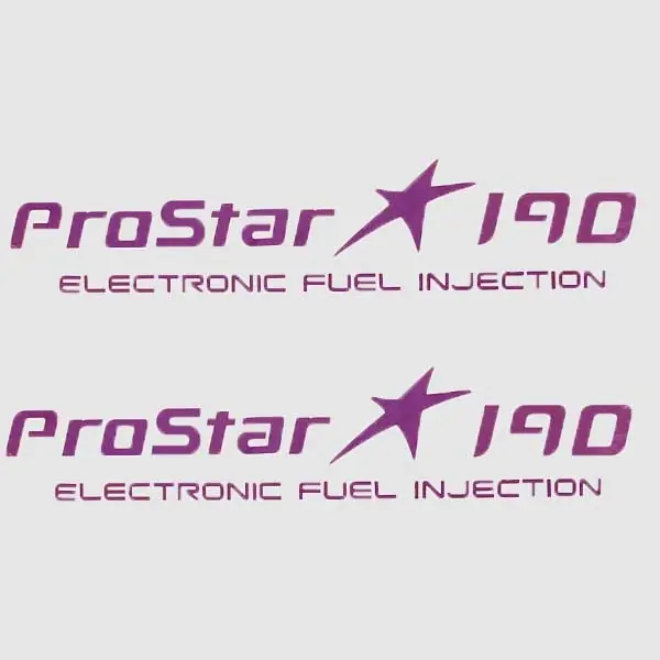 MasterCraft Boat Brand Decals 759918 | Prostar 190 Fuel Injection Pair Latest