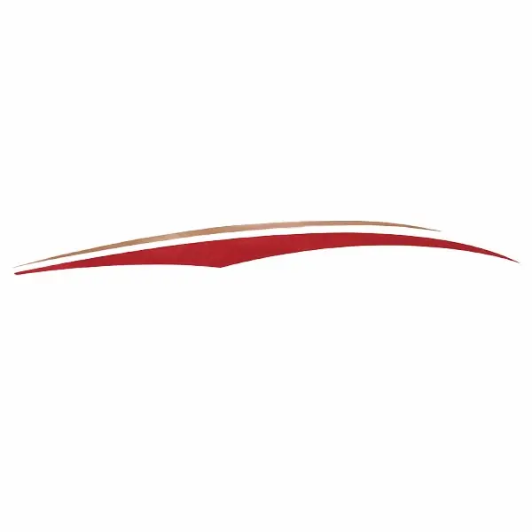 Special Offer Tracker Boat Graphic Decal 144016 | Metallic Gold Red Sticker