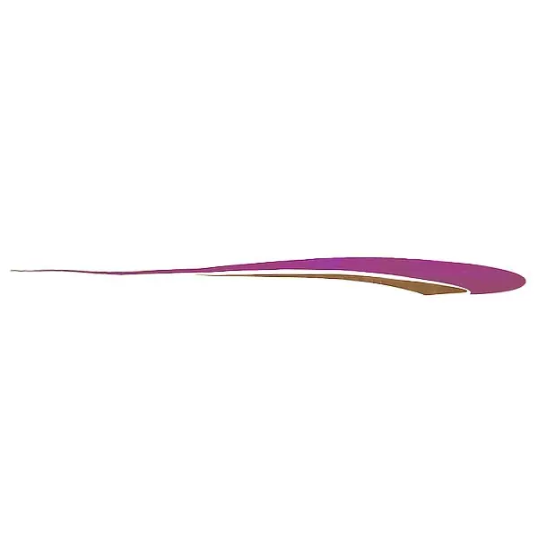 Low Price Rinker Boat Graphic Decal 218268 | Magenta / Gold Sticker