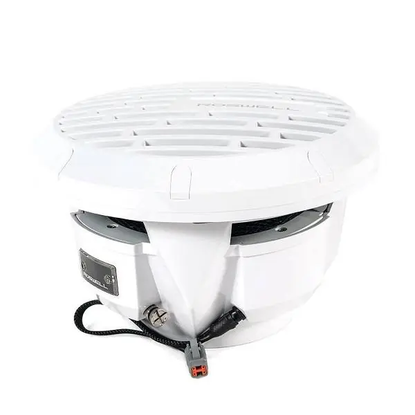 Sale Roswell Marine R1 10" Subwoofer