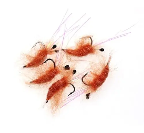 Secure Checkout KTGCOZS Pack of 10 Shrimp Fly Fishing Lure Feather Material Nymph Fly Bait Trout Fly Flies