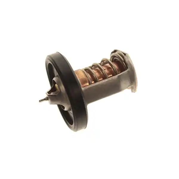 THERMOSTAT, WTR(60 DE Premium