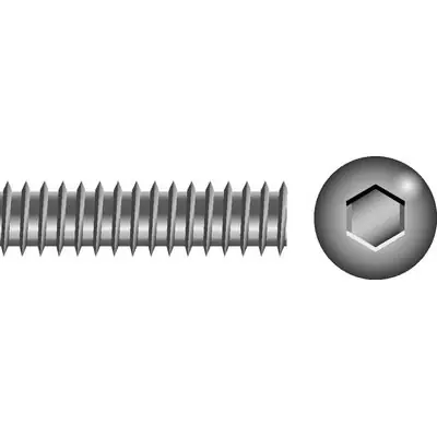 Seachoice 1/4-20 x 1/4 Skt Set Screw SS 100/ Sc1473 Genuine