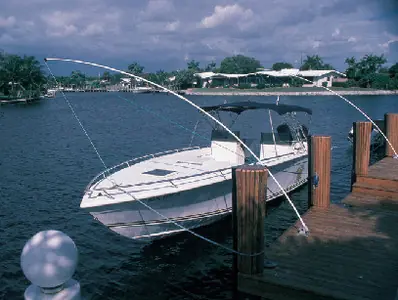 Taylor Mooring Whip 8Ft 1Pr/Bx Mw080 Same Day Shipping
