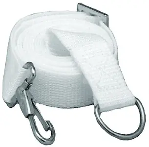 Taylor Tie Down Adjustable Strap 2/Bg 2000 Express Delivery