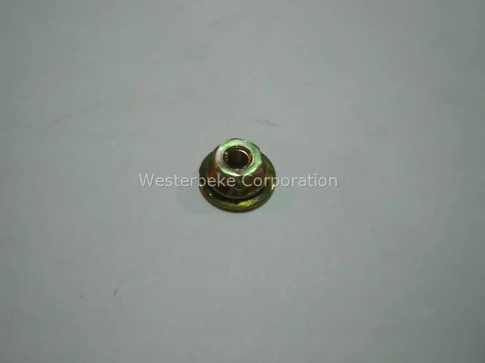 Westerbeke, Nut, flange-glowplug, 041975 Low Price