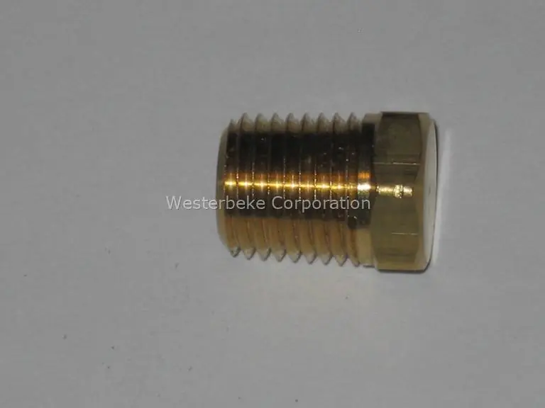 Top Pick Westerbeke, Plug 1/4 npt hex head brass, 013341
