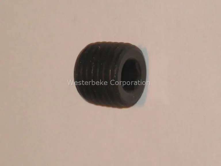 Westerbeke, Plug 1/4 npt socket, 024601 Trending