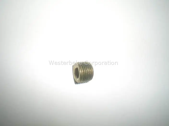 Instant Buy Westerbeke, Plug 1/8 npt socket brass, 042896