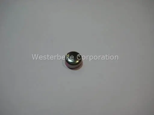 Westerbeke, Plug, expansion 12 mm din 443, 033625 Money Back Guarantee