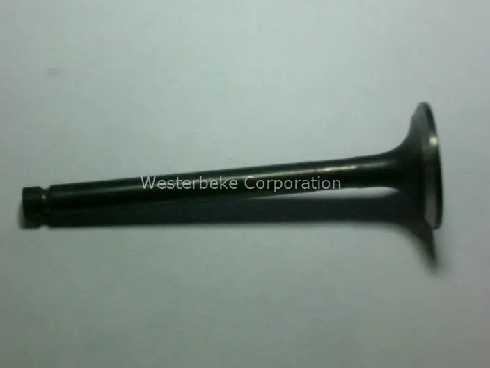 Clearance Westerbeke, Valve, exhaust 71c, 041362