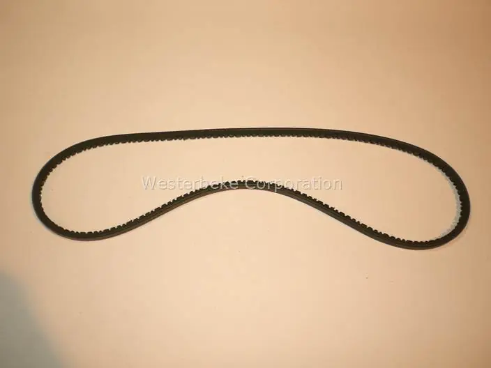 Universal, Belt, 302347 Discount